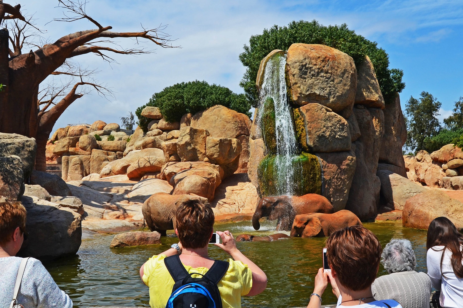 Bioparc Valencia